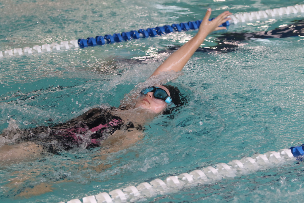 Powiatowa Liga Pływacka