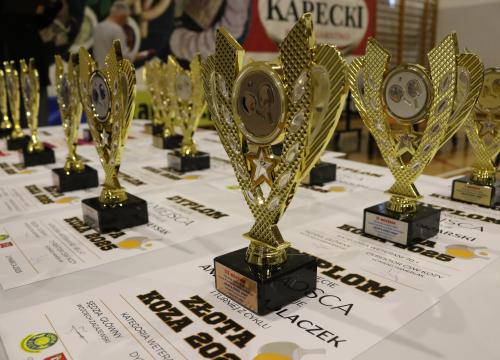 zlota koza 17 i&nbsp;18.05