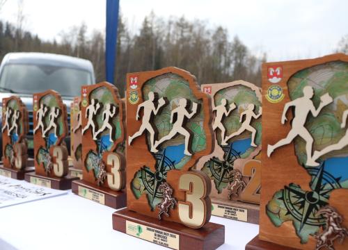 zorientowane kozy 11.04