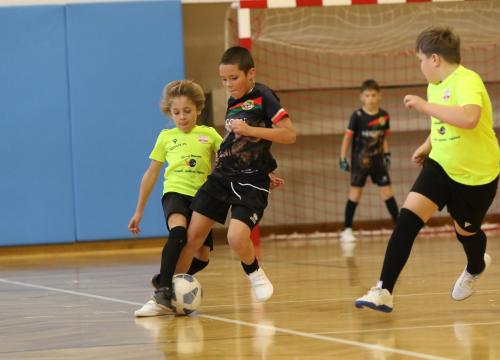 hls 24.10