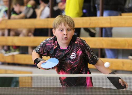 zlota koza 17 i&nbsp;18.05