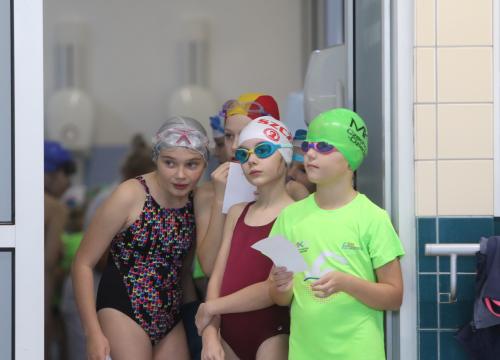 liga pływacka 18.11