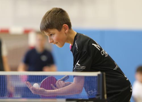 zlota koza 17 i&nbsp;18.05